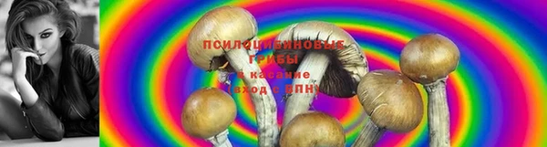 стафф Верхнеуральск